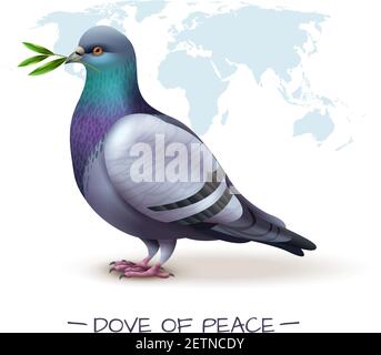 Arrière-plan d'oiseau avec image de branche de retenue de pigeon avec vert laisse devant l'illustration vectorielle de la carte du monde Illustration de Vecteur