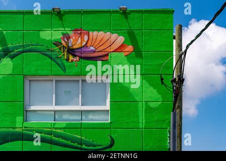 Wynwood Banque D'Images