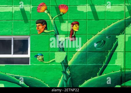 Wynwood Banque D'Images