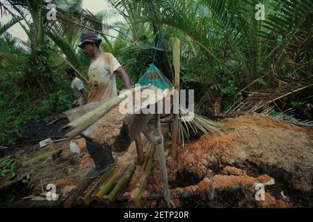 Des hommes à une installation pour la production de sagou sur le côté de la rivière Salawai à l'île de Seram, province de Maluku, Indonésie. Banque D'Images