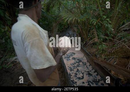 Hommes faisant du sagou sur le côté de la rivière Salawai à Seram Island, province de Maluku, Indonésie. Banque D'Images