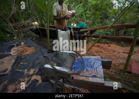 Hommes faisant du sagou sur le côté de la rivière Salawai à Seram Island, province de Maluku, Indonésie. Banque D'Images