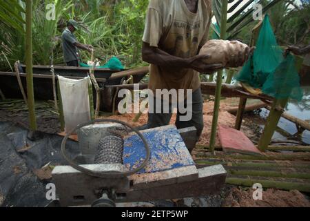 Hommes faisant du sagou sur le côté de la rivière Salawai à Seram Island, province de Maluku, Indonésie. Banque D'Images