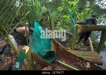 Installation pour la production de sagou sur le côté de la rivière Salawai à l'île de Seram, province de Maluku, Indonésie. Banque D'Images