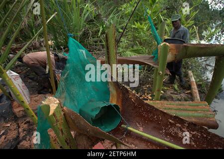 Installation pour la production de sagou sur le côté de la rivière Salawai à l'île de Seram, province de Maluku, Indonésie. Banque D'Images