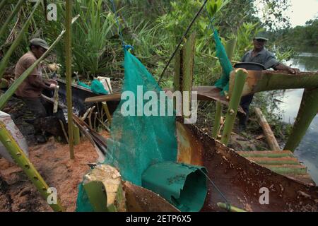 Installation pour la production de sagou sur le côté de la rivière Salawai à l'île de Seram, province de Maluku, Indonésie. Banque D'Images