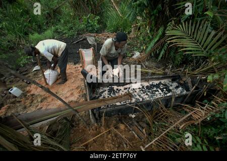 Hommes faisant du sagou sur le côté de la rivière Salawai à Seram Island, province de Maluku, Indonésie. Banque D'Images