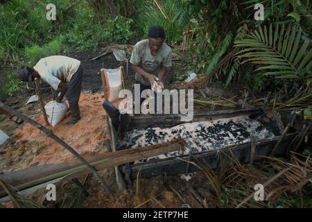 Hommes faisant du sagou sur le côté de la rivière Salawai à Seram Island, province de Maluku, Indonésie. Banque D'Images