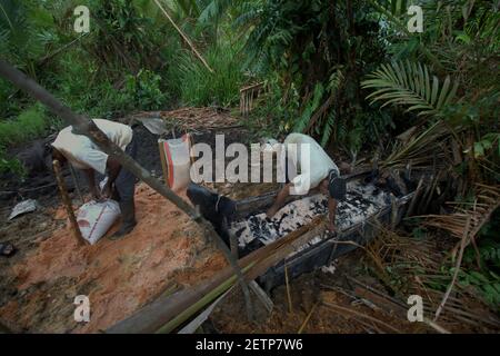 Hommes faisant du sagou sur le côté de la rivière Salawai à Seram Island, province de Maluku, Indonésie. Banque D'Images