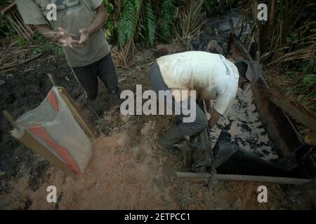 Hommes faisant du sagou sur le côté de la rivière Salawai à Seram Island, province de Maluku, Indonésie. Banque D'Images