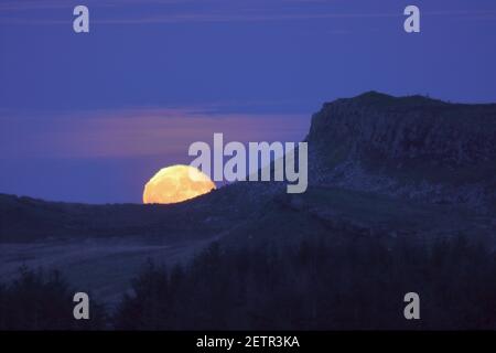 Une magnifique pleine lune de vin s'élève derrière Sewingeshields Crags, Hadrienn's Wall, Northumberland, Royaume-Uni Banque D'Images