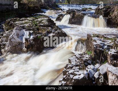 Linton Falls, une cascade pittoresque sur la rivière Wharfe près de Grassington dans les Yorkshire Dales Banque D'Images