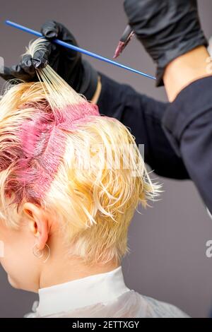 Gros plan sur les mains du coiffeur en appliquant du colorant rose sur celles de la femme cheveux blonds dans un salon de coiffure Banque D'Images