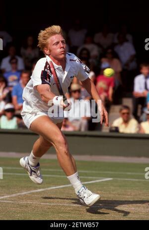 Boris Becker tennis Wimbledon 1991 photo de Tony Henshaw Banque D'Images