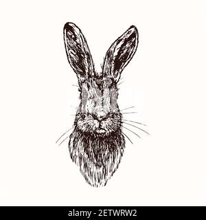 Lièvre (lapin) face, vue avant, dessin à l'encre noire, style de coupe de bois Banque D'Images