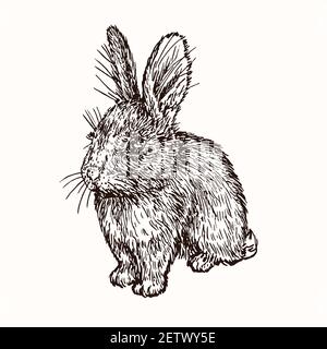 Lièvre (lapin) petit mignon assis, vue de face, dessin à l'encre noire de doodle, style de coupe de bois Banque D'Images