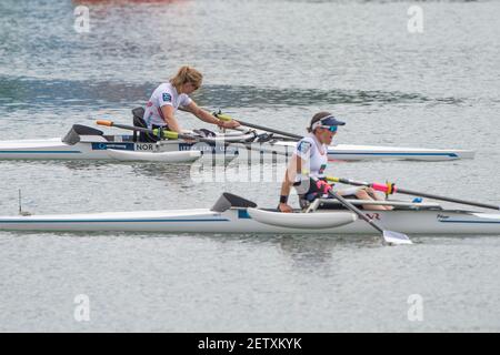 Linz, Autriche, Dimanche, 1er sept. 2019, Championnat du monde d'aviron FISA, dimanche fin de journée, NOR PR1, W1X, médaillée d'or, Birgit SKARSTEIN, [crédit obligatoire; Peter SPURRIER/Intersport Images] 13:15:31 01/09/2019 Banque D'Images