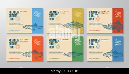 Ensemble d'étiquettes pour poissons. Résumé Vector Packaging Design Layouts Collection. Typographie moderne et esquisse de sarde, Pollock, SCAD et sprat dessinées à la main Illustration de Vecteur