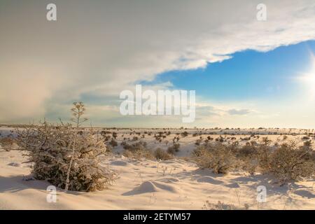 PAYSAGE RURAL HIVER. Parc national d'Alta Murgia à Apulia, Italie : collines enneigées. Banque D'Images