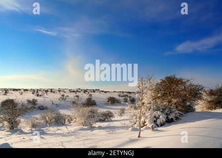 PAYSAGE RURAL HIVER. Parc national d'Alta Murgia à Apulia, Italie : collines enneigées. Banque D'Images