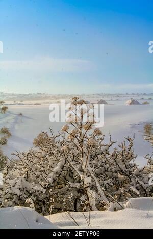 PAYSAGE RURAL HIVER. Parc national d'Alta Murgia à Apulia, Italie : collines enneigées. Banque D'Images