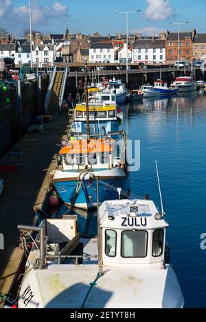 Rangée de bateaux de pêche dans le port du village de pêcheurs d'Anstruther, dans l'est de Neuk de Fife, en Écosse, au Royaume-Uni Banque D'Images