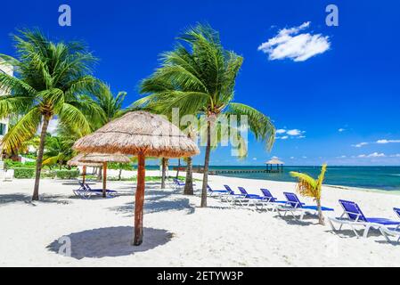 Cancun, Mexique - Paysage tropical avec des cocotiers palmiers Caraïbes plage Yucatan Peninsula en Amérique centrale Banque D'Images