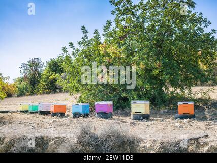Une rangée de ruches colorées dans un petit village dans Les collines de Chypre Banque D'Images