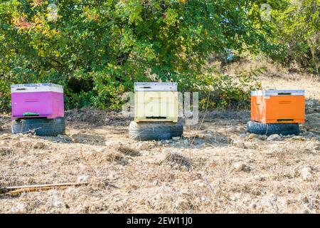 Une rangée de ruches colorées dans un petit village dans Les collines de Chypre Banque D'Images