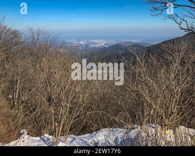 Vue panoramique sur Gangneung, Corée du Sud en hiver Banque D'Images