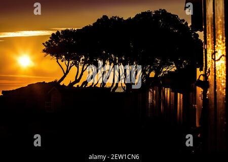 France, Vendée (85), île de Noirmoutier, Noirmoutier-en-l'Ile, le Bois de la chaise, levier de soleil derrière les cabanes de plage et chênes verts à la pointe de Saint-Pierre Banque D'Images