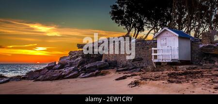 France, Vendée (85), île de Noirmoutier, Noirmoutier-en-l'Ile, le Bois de la chaise, levier de soleil derrière les cabanes de la plage des Dames et chênes verts à la pointe de Saint-Pierre Banque D'Images