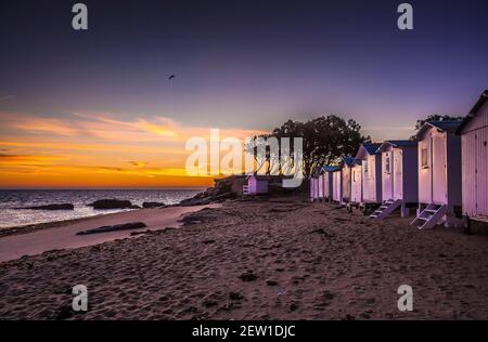 France, Vendée (85), île de Noirmoutier, Noirmoutier-en-l'Ile, le Bois de la chaise, levier de soleil derrière les cabanes de la plage des Dames et chênes verts à la pointe de Saint-Pierre Banque D'Images