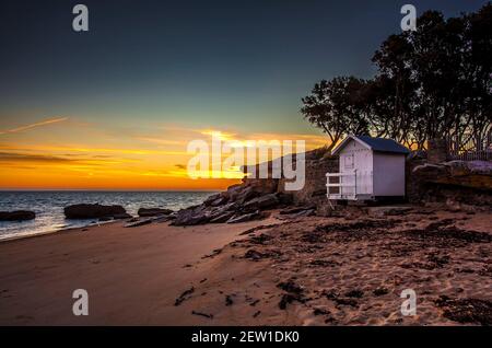 France, Vendée (85), île de Noirmoutier, Noirmoutier-en-l'Ile, le Bois de la chaise, levier de soleil derrière les cabanes de la plage des Dames et chênes verts à la pointe de Saint-Pierre Banque D'Images