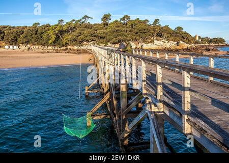 France, Vendée (85), île de Noirmoutier, Noirmoutier-en-l'Ile, le Bois de la chaise, pêche au carret sur l'estacade de la plage des Dames Banque D'Images