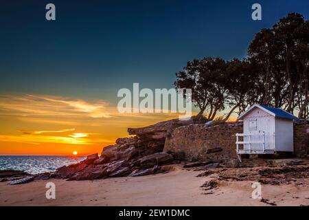 France, Vendée (85), île de Noirmoutier, Noirmoutier-en-l'Ile, le Bois de la chaise, levier de soleil derrière les cabanes de la plage des Dames et chênes verts à la pointe de Saint-Pierre Banque D'Images