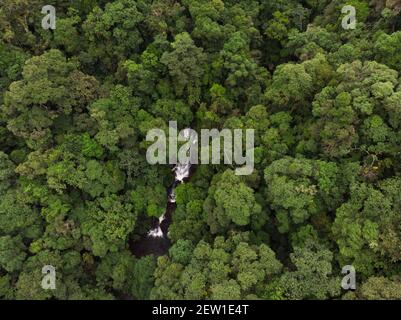 Une chute d'eau au milieu de la forêt tropicale primaire de l'Atlantique du sud de l'État de São Paulo, se Brésil Banque D'Images