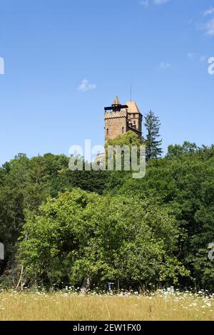 Allemagne, Rhénanie-Palatinat, Wasgau, Forêt du Palatinat, Erlenbach, Château de Berwartstein (Burg Berwartstein) Banque D'Images