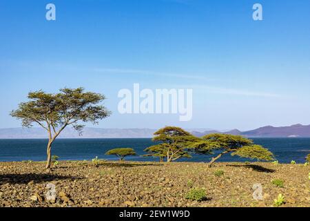 Kenya, lac Turkana, paysage Banque D'Images