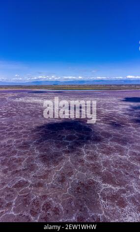 Kenya, lac Magadi, faille du Rift, carbonate de sodium (vue aérienne) Banque D'Images