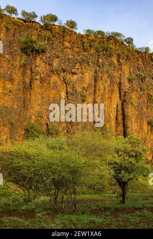 Kenya, autour du lac Baringo, faille de Rift Banque D'Images