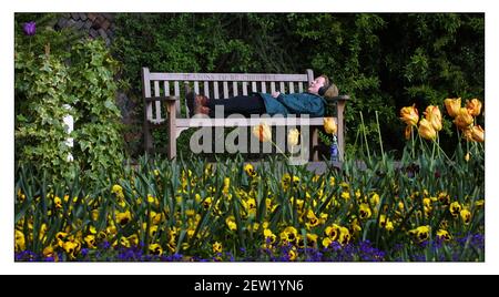 Un banc commémoratif à Ian Dury, à l'angle des poètes, Pembrook Lodge, Richmond Park. Jane Mills aime le soleil et la musique de Dury en branchant son casque dans les prises dans les accoudoirs de ce banc spécial.pic David Sandison 29/4/2002 Banque D'Images