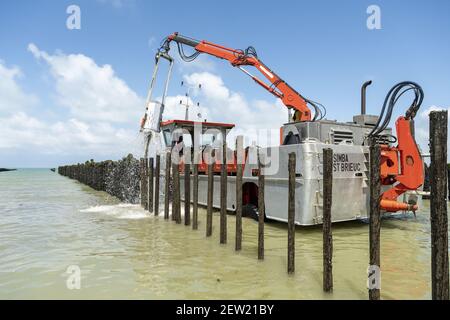 France, Côtes d'Armor, Hillion, mytiliculture dans la baie de Saint-Brieuc selon la méthode des bouchois Banque D'Images