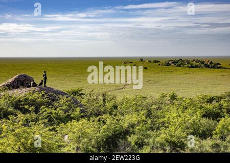 Tanzanie, Serengeti National Park, Gol Kopje, Gol Kopje est un nom néerlandais signifiant petite tête et se réfère aux blocs de granit qui ponctuent le plateau, les Kopje sont l'habitat préféré des lions, léopards et hyenas, Et ne peut être aventuré avec des rangeurs de parc les rangers et les chiens de l'unité K9 sont en patrouille pour observer l'immensité du plateau (1500 m au-dessus du niveau de la mer) Banque D'Images