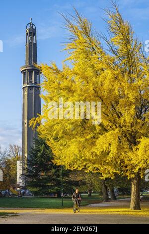 France, Isère, Grenoble, parc Paul Mistral, tour Perret (85 m) construite en 1925 et jaune doré de Ginkgo biloba en automne Banque D'Images