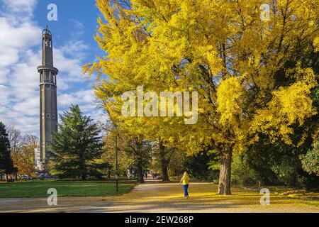 France, Isère, Grenoble, parc Paul Mistral, tour Perret (85 m) construite en 1925 et jaune doré de Ginkgo biloba en automne Banque D'Images