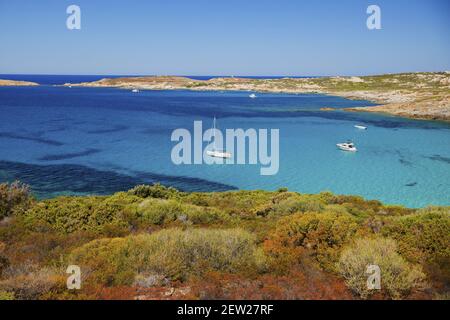 France, haute-Corse (2B), Balagne, Baie d'Algajola Banque D'Images