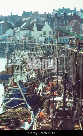 1978 Port de Whitby et flotte de pêche de bateaux et chalutiers - la flotte de pêche de Whitby s'est arrimée au quai de pêche pour décharger une prise. La prise commerciale n'est plus du hareng mais a été remplacée par de la morue, de l'aiglefin et d'autres poissons capturés à moins de 12 milles de la côte. Whitby est une ville balnéaire et un port dans le quartier du North Yorkshire, en Angleterre, et est situé sur la côte est du Yorkshire, à l'embouchure de la rivière Esk. Port de Whitby avec chalutiers et petits bateaux nord yorkshire angleterre gb europe Banque D'Images