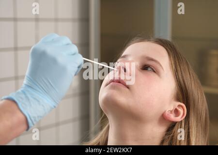 La main du médecin avec un coton-tige prend une analyse du nez d'une fille. Banque D'Images