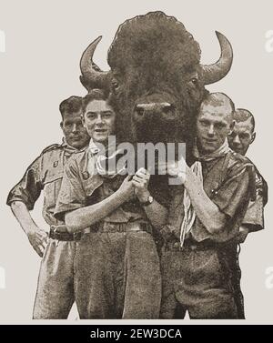 Une photo de presse de 1929 montrant (britannique?) Les Rover Scouts portant une tête de buffle (Bison) du parc national d'Ottowa leur ont été présentés par le commissaire en chef canadien Banque D'Images